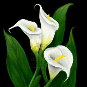 Meet your Posher, Kristy